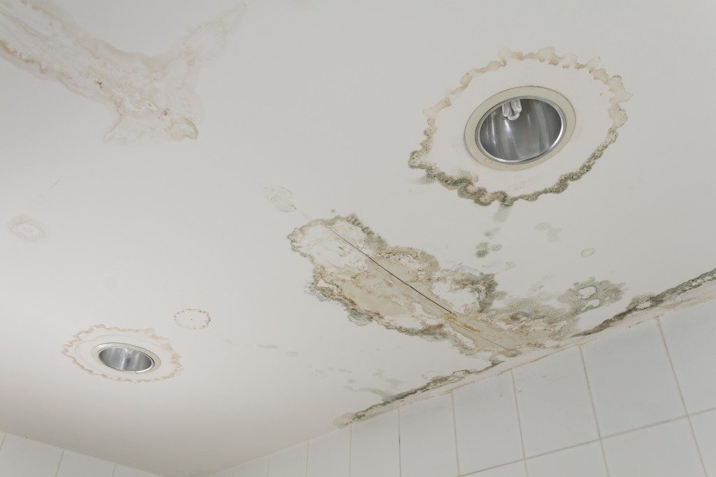 molds at the bathroom's ceiling after a water leak