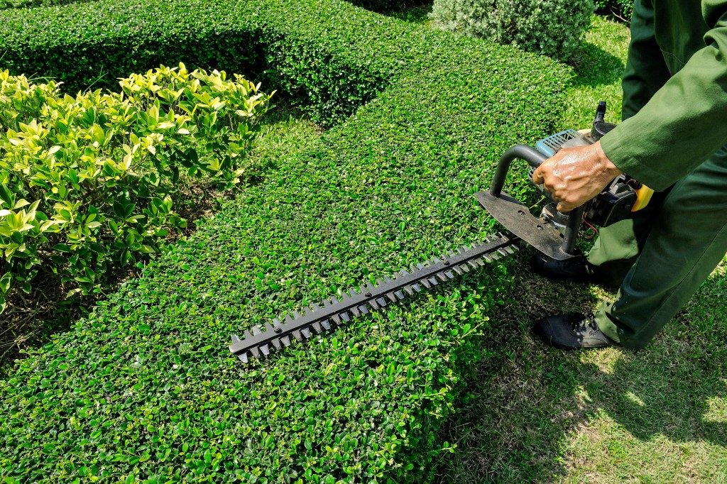 landscaping with equipment
