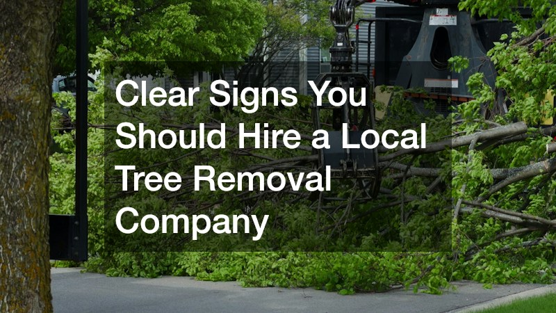 Clear Signs You Should Hire a Local Tree Removal Company